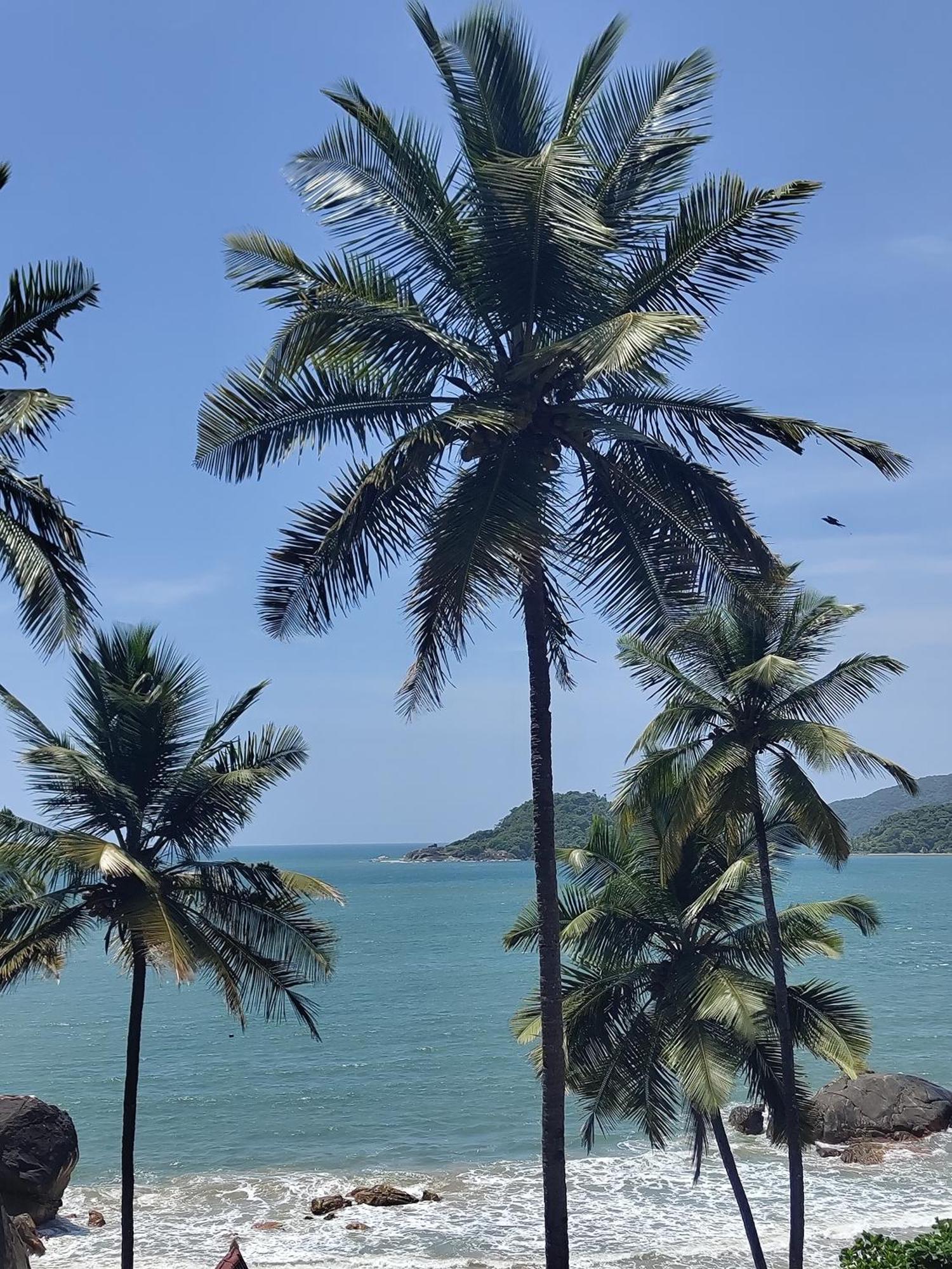 Hilltop Seaview Palolem Goa Hotel Екстериор снимка