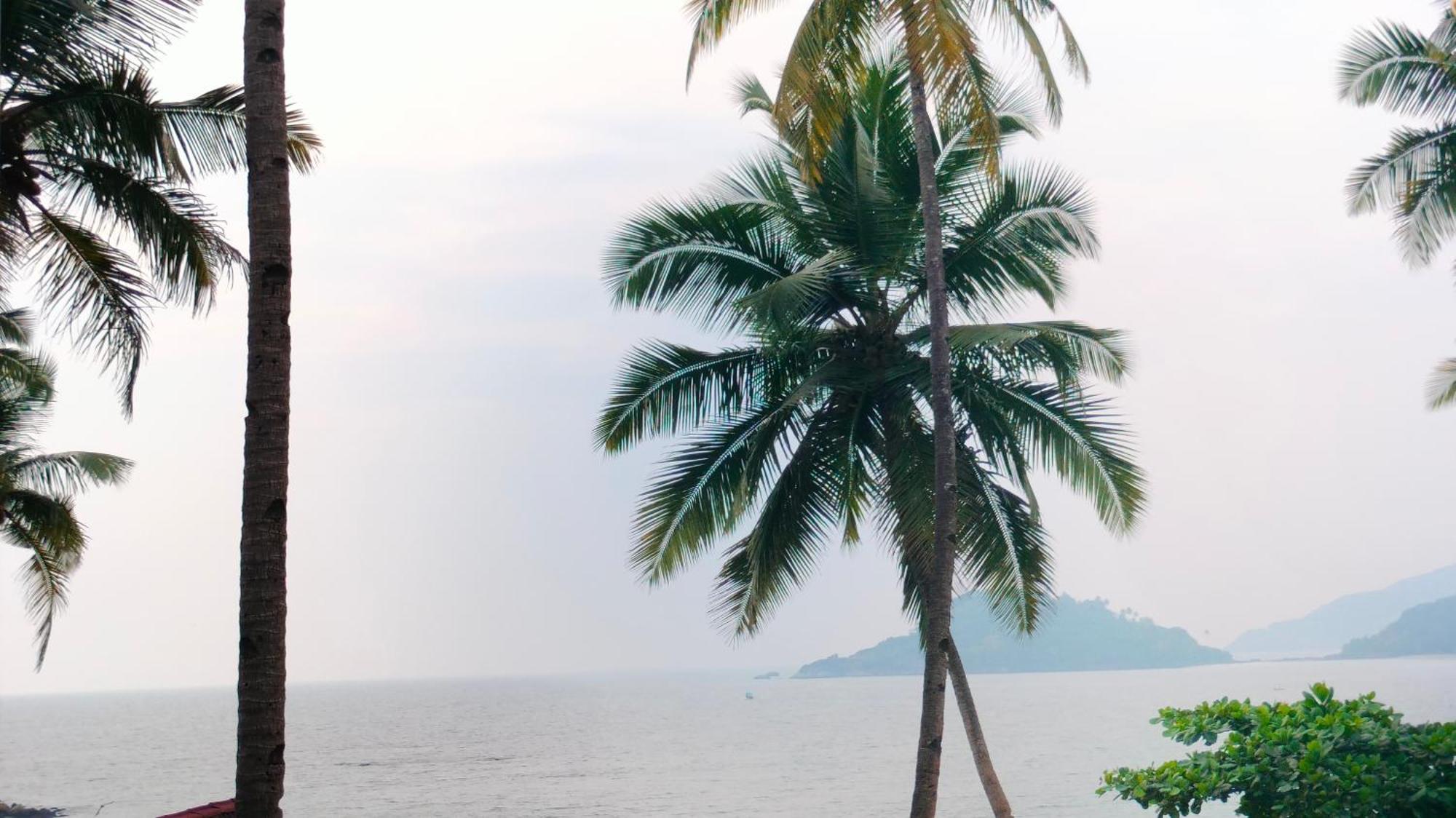Hilltop Seaview Palolem Goa Hotel Стая снимка